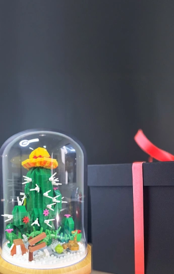 Foto de cactus con sombrero para regalo con dedicatoria