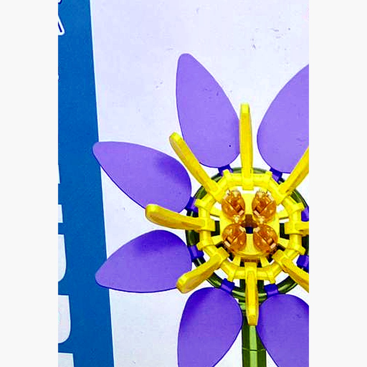 Primer plano de la flor morada de pétalos lilas y centro amarillo Zuanma 103-B6